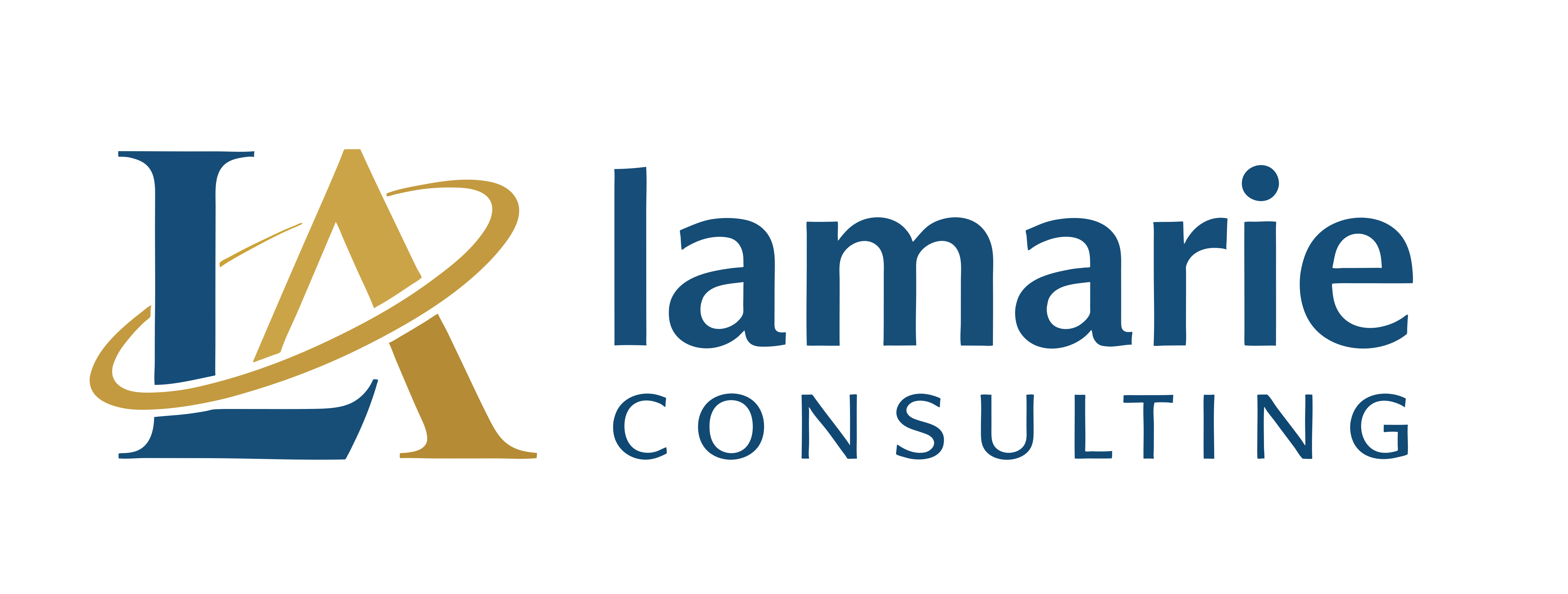 LaMarie Consulting